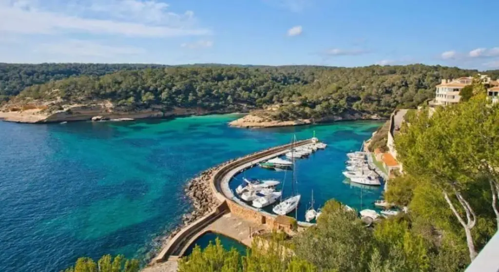 Marina Port Esportiu Portals Vells mooring for rent