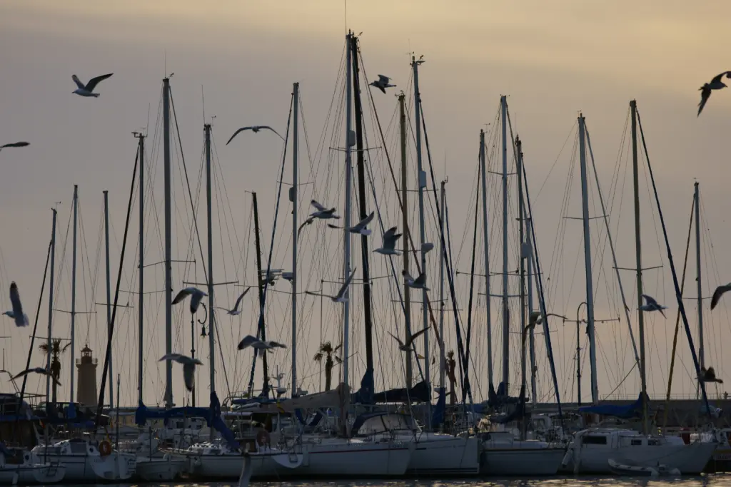 Port dAndratx · scaled
